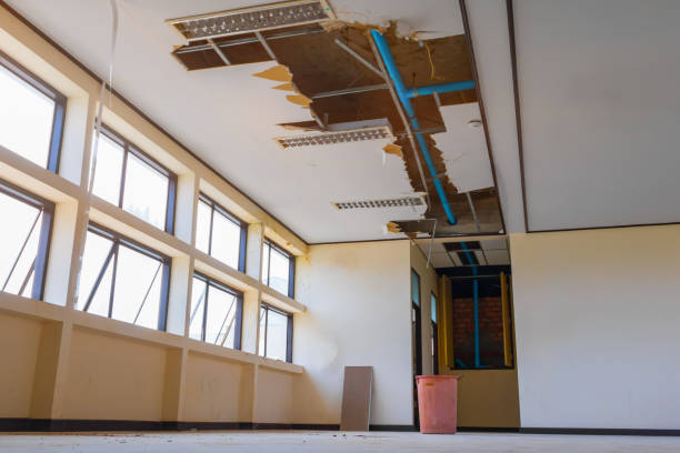 Best Water damage restoration experts  in Bishop, CA