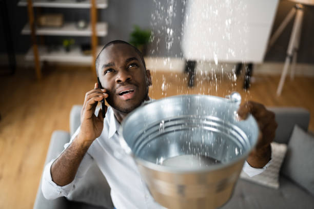 Best Water damage contractors near me  in Bishop, CA