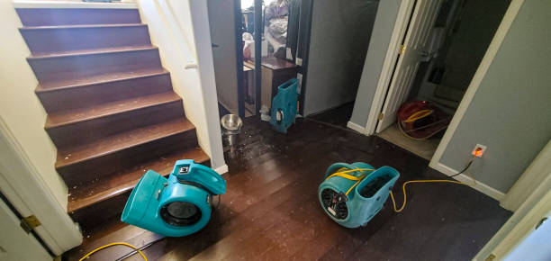 Best Flooded house restoration  in Bishop, CA