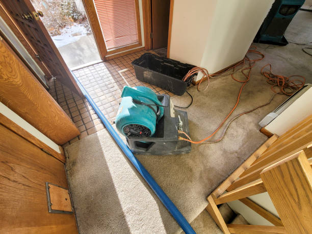 Trusted Bishop, CA Water damage restoration Experts