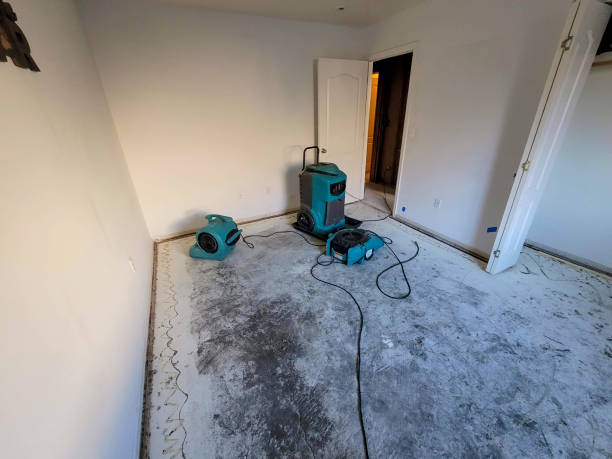 Best 24-hour water damage restoration  in Bishop, CA