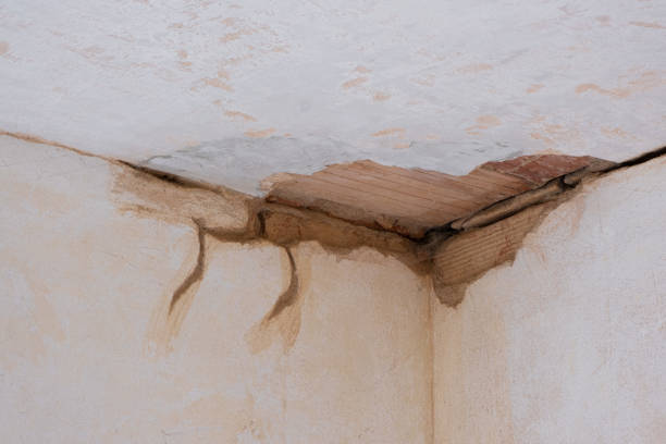 Best Ceiling water damage repair  in Bishop, CA