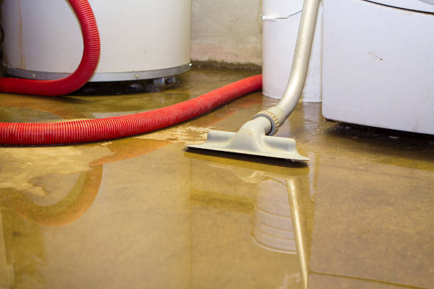 Best Flood damage cleanup  in Bishop, CA
