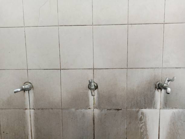 Best Flood damage cleanup  in Bishop, CA
