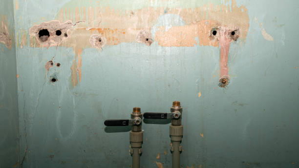  Bishop, CA Water damage restoration Pros