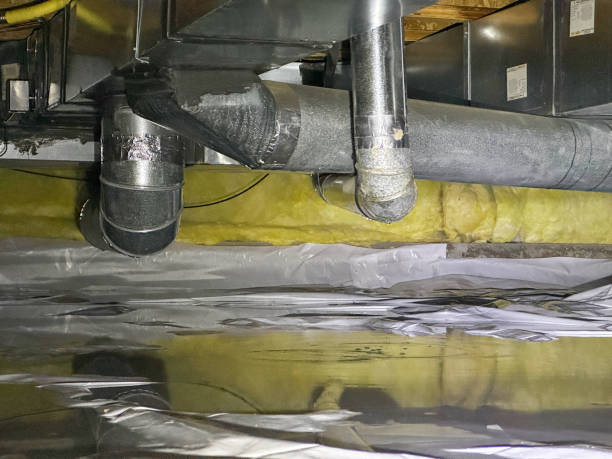 Best Mold removal after water damage  in Bishop, CA