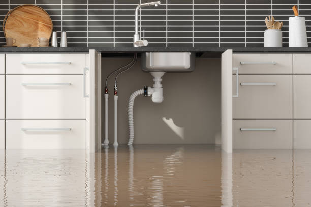 Best Flood restoration services  in Bishop, CA